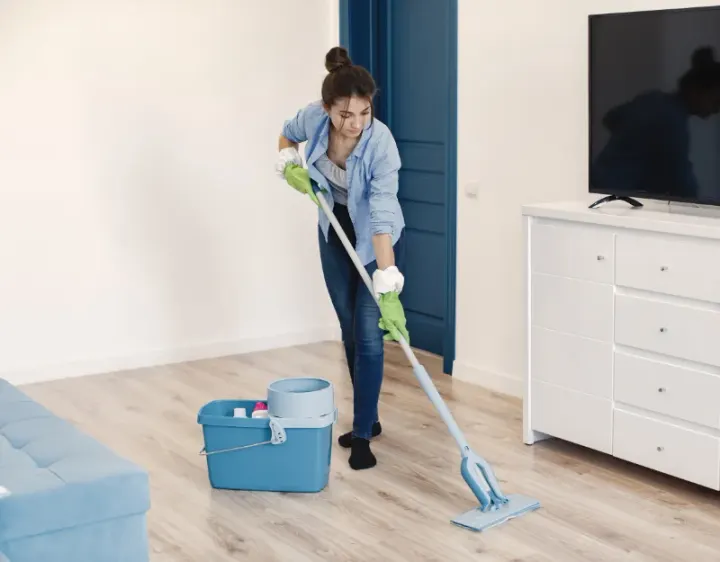 Femme de ménage Cabanac